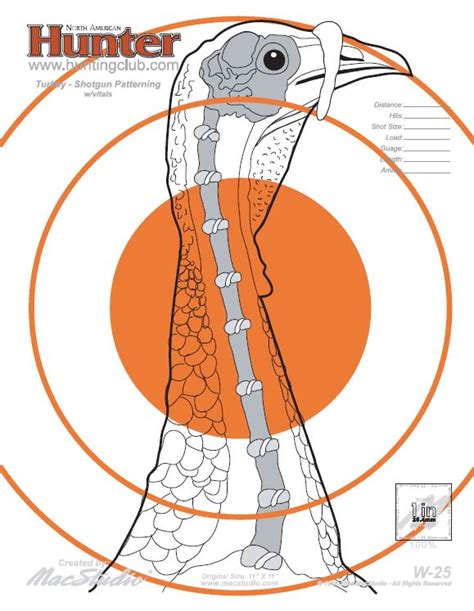 Accessible Hunter Shotgun Pattern
