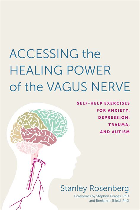 Full Download Accessing The Healing Power Of The Vagus Nerve Selfhelp Exercises For Anxiety Depression Trauma And Autism By Stanley Rosenberg
