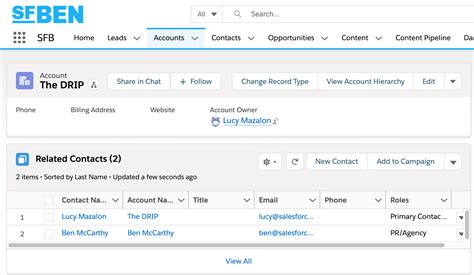 Account Summary for Contact SDocs for Salesforce