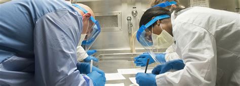 Accredited online mortuary science programs.  Learn about the curriculum, licensure...