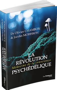 Accueil Olivier Chambon Psychiatre Psychotherapeute Auteur ...