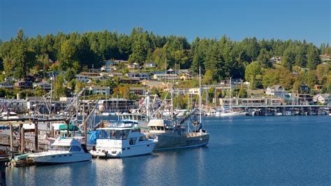 Get the monthly weather forecast for Gig Harbor Peninsula, WA, including daily high/low, historical averages, to help you plan ahead.. 