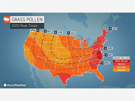 Accuweather pollen levels. Things To Know About Accuweather pollen levels. 