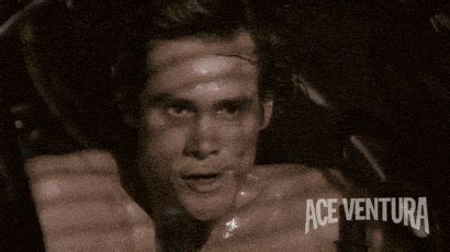 The perfect Ace Ventura Jim Carrey Spear Animated GIF for your con