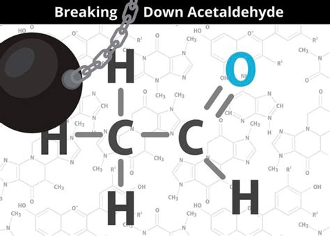 Acetaldehyde in Velo: The Complete Guide