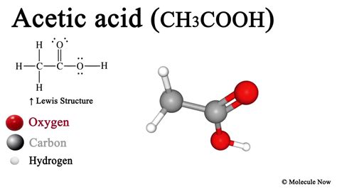 Acetic Acid (CH3COOH) 3D Model with Lewis Structure YouTube