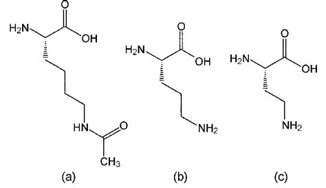 Acetyllysine - Wikipedia