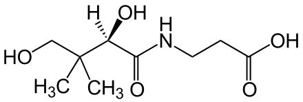 Acido pantotenico - Wikipedia