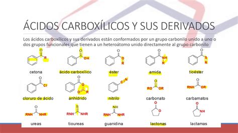 Acidos Carboxilicos y Derivados de Acido Ejercicios