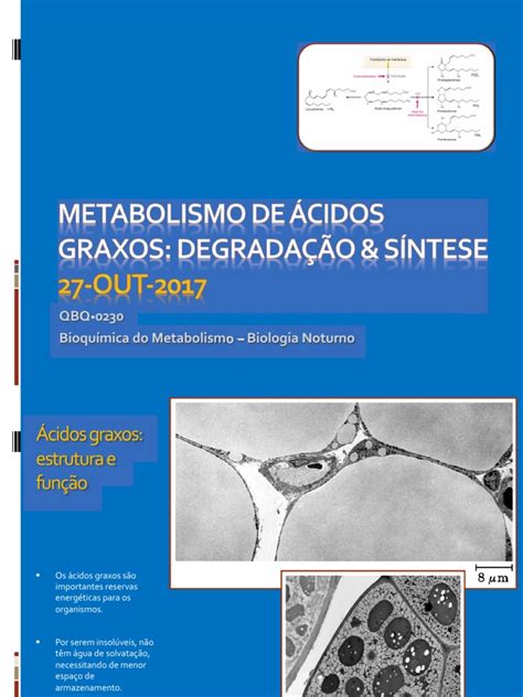 AcidosGraxos Sintese Degradacao 2017 pdf