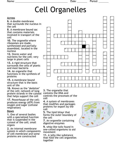 Acids that are found in centers of cells crossword clue. The Crossword Solver found 30 answers to "Carrier of white blood cells", 5 letters crossword clue. The Crossword Solver finds answers to classic crosswords and cryptic crossword puzzles. Enter the length or pattern for better results. Click the answer to find similar crossword clues . Enter a Crossword Clue. 