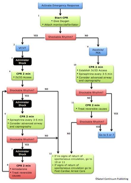 Acls Algorithm 2021 Printable Customize and Print