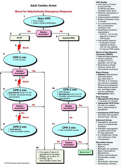 Acls Algorithms 2012 Pdf Acls algorithm, Acls
