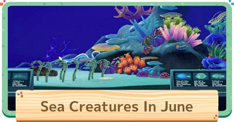 September - Sea Creatures List. April Update Coming S