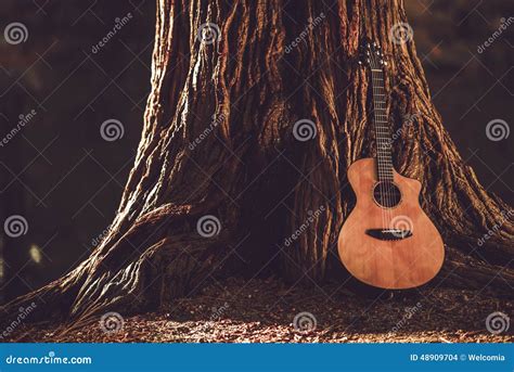 Acoustic and Trees