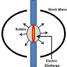 Acoustic methods for biofouling control: A review