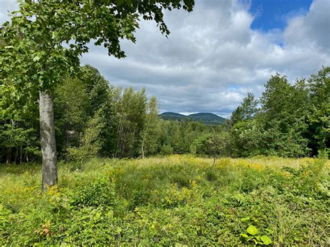 Acreage for sale in maine. Land for Sale in Maine - 3,768 Properties - Land.com. Sort. $109,000 • 45 acres. N Penobscot Rd, Penobscot, ME, 04476, Hancock County. 45-Acre Prime Land Parcel in Penobscot, Maine Your Canvas for Possibilities! Welcome to a rare opportunity to own a stunning 45-acre vacant land parcel in the heart of Penobscot, Maine. 