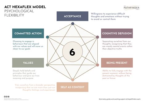 The six core therapeutic processes in ACT are contacting the present moment, defusion, acceptance, self-as-context, values, and committed action. Before we go through them one by one, take a look at the diagram below, which is …. 