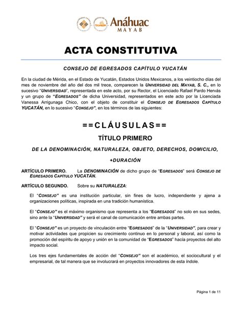 Acta Constitutiva Steel