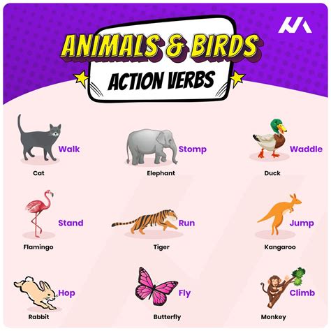 Action for animals. Things To Know About Action for animals. 