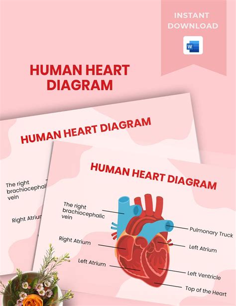 Actions of the Heart &ndash; Kalemah &ndash; Learn Islam in Your Language