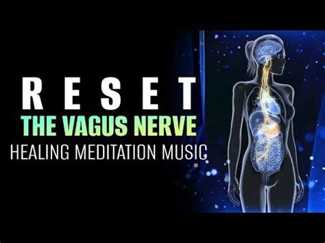 Activate Vagus Nerve with Meditation Music for Improved Heart Health …