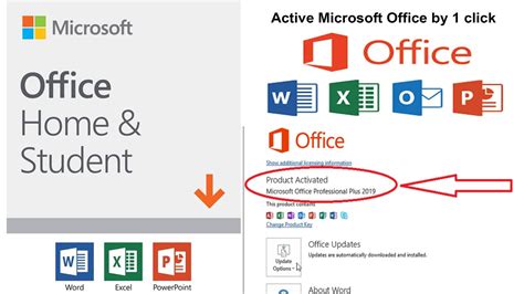 Activation MS Office 2009 2024
