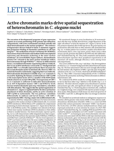 Active chromatin marks drive spatial sequestration of ... - PubMed