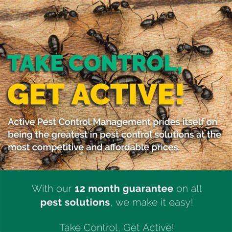 Active pest. At Active Pest Control, our leadership and technicians operate as a family and we aim to create a relationship with our customers built on trust and satisfaction. We Are Cobb County’s Best Pest Control Company. While our expertise may be in pest control, our real service is bringing you peace of mind. At Active Pest Control, our mission is to ... 