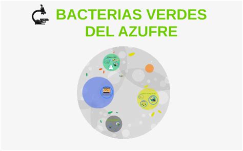 Actividad de Nano Azufre Contra Bacterias