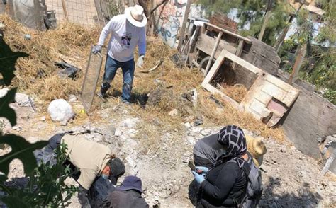 Activists and volunteers find four bodies in Tijuana clandestine grave site