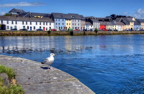 Activities in Galway Galway Attractions Park House…