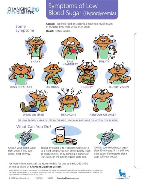 Activity 2.3.2 A Day in the Life of a Diabetic