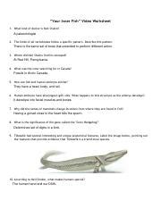 Activity for Your Inner Fish Worksheets Library