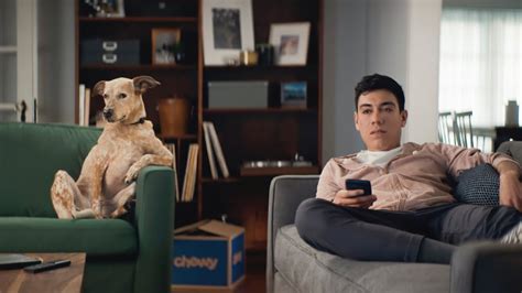 Check out Chewy's 15 second TV commercial, 'Holidays: Dog Offer: Beggin' from the Pet Care industry. Keep an eye on this page to learn about the songs, characters, and celebrities appearing in this TV commercial. Share it with friends, then discover more great TV commercials on iSpot.tv. 