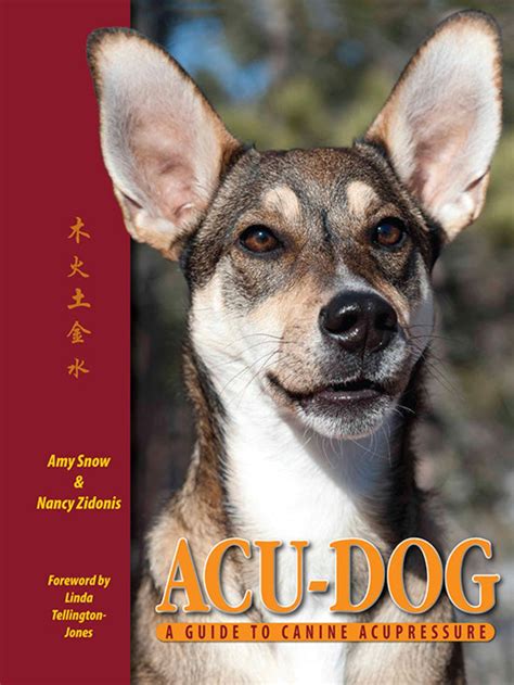Acu dog a guide to canine acupressure. - California foraging 120 wild and flavorful edibles from evergreen huckleberries to wild ginger.