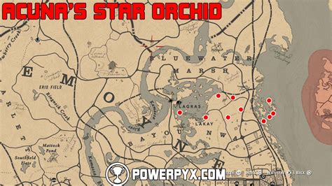 #RDR2 #RedDeadRedemption2 #Rockstar RDR2 All Moccasin Flower Orchid Locations For Exotic Quest in Red Dead Redemption 2Red Dead Redemption 2 Moccasin Flower.... 