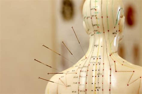 Acupuncture Free Resources