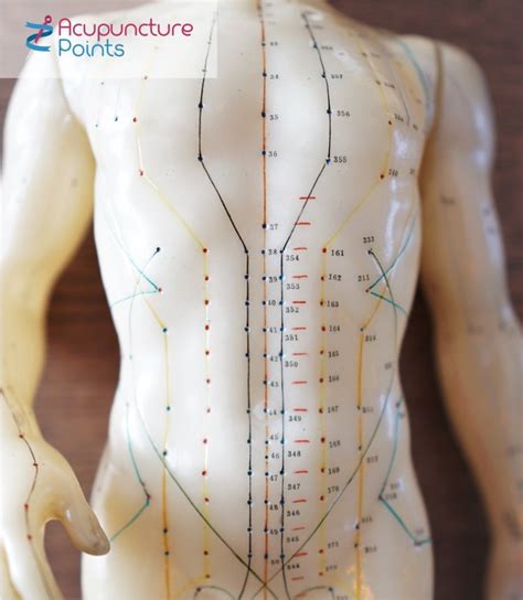 Acupuncture in Theory and Practice Part i