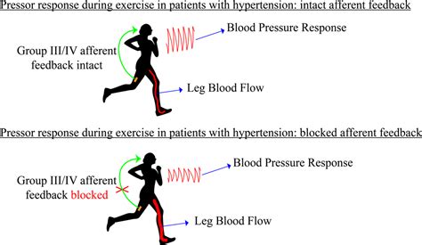 Acute Cardiac Effects of Marathon Running