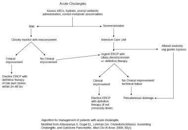 Acute Cholangitis Treatment Management Prehospital Care Emergency Department Care Consultations