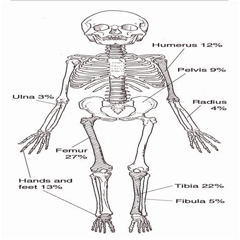 Acute Hematogenous Osteomyelitis in Children: Clinical …