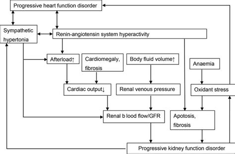 Acute Kidney Injury (AKI) IntechOpen