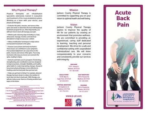 Acute Low Back Pain Brochure