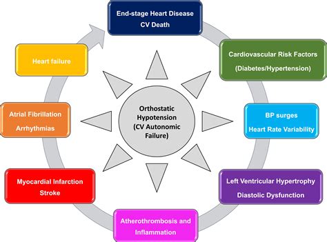 Acute Orthostatic Hypotension When Starting …