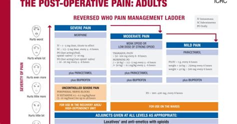 Acute Pain Management of Adults in the Post ... - Ministry …