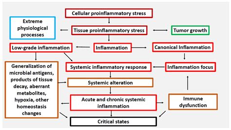Acute and Chronic Inflammation Warren