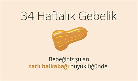 genssuffweb.rgarabwor.edu.pl. 