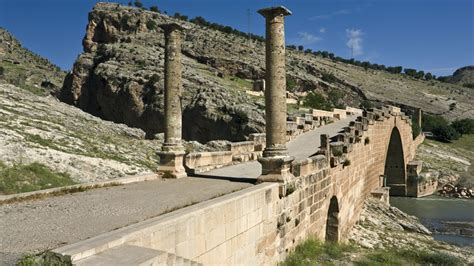 codini.rgarabwor.edu.pl. 