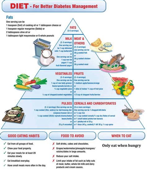 Ada guide to diabetes medical nutrition therapy and education. - Manuales de referencia de tapicería automotriz.